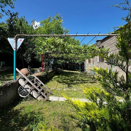 Qilimcha'S Guesthouse-Art Museum Telavi Exterior foto